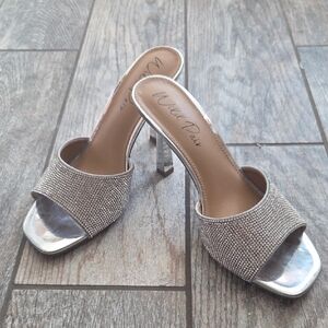 Wild Pair Shimmering Silver Heels